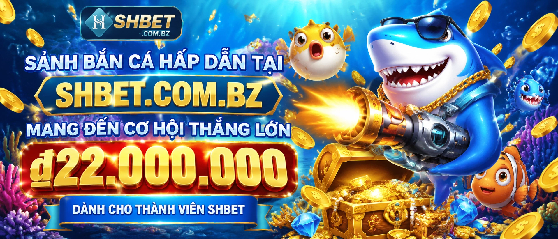 shbet banca section